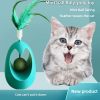 Egg Shape Cat Toy With Catnip