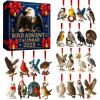 🔥Last Day 50% OFF -🎄2025 Bird Advent Calendar🦅