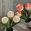 ✨Letzter Tag 49 % Rabatt🔥Tulpen-LED-Nachtlicht