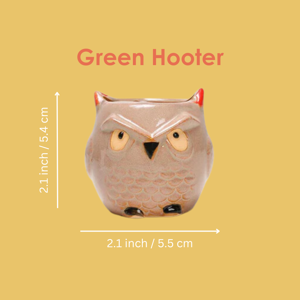 Cute Owl Ceramic Succulent Planter Pot- Buy 2 Free Shipping