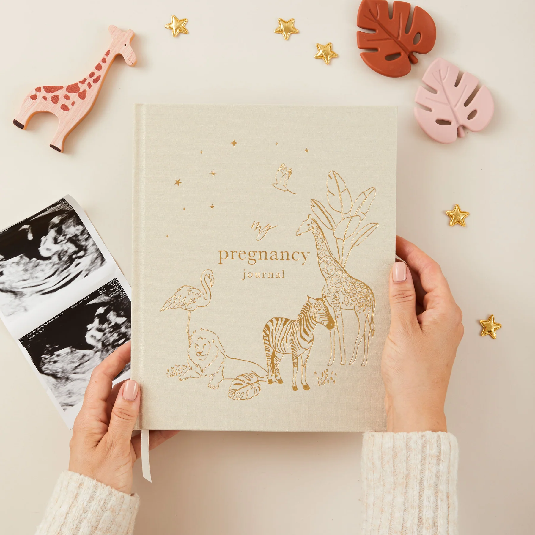 My Pregnancy Journal - from Bump to Birth