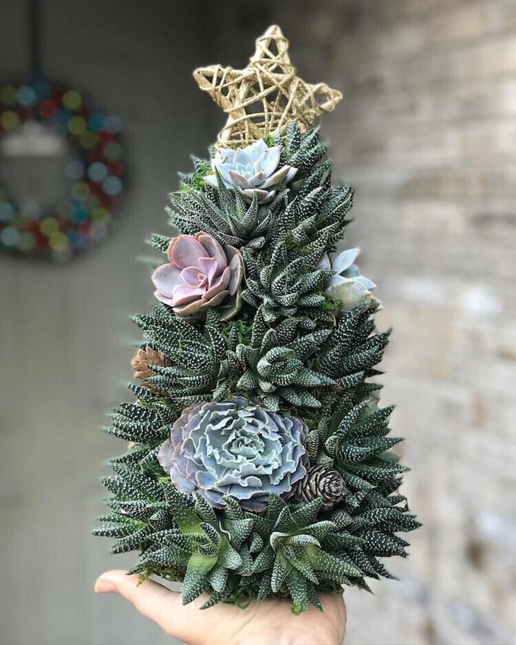 (🌲Early Christmas Sale- 50% OFF) 🎄Succulent Art Tree - Buy 2 Free Shipping