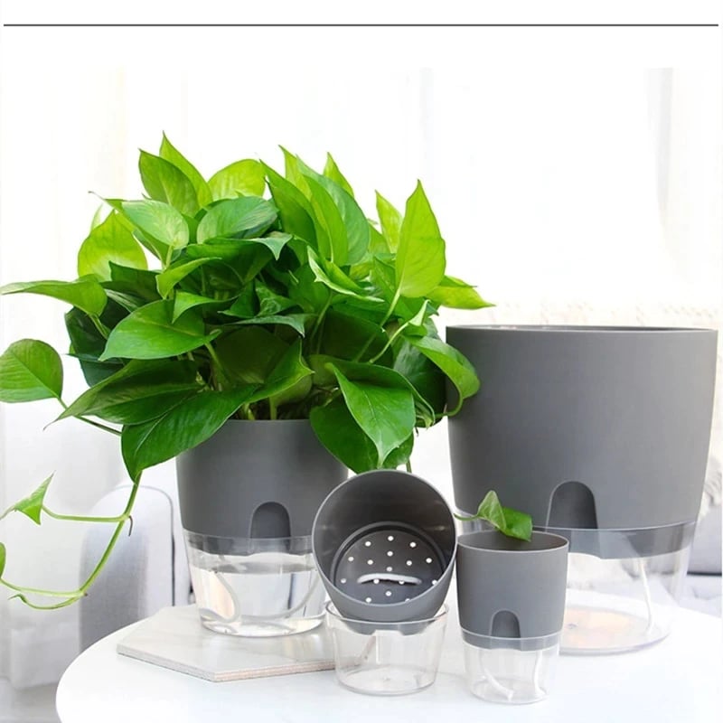 🎁🔥Last Day Sale 60%OFF👍 Self Watering Plant Pot🔥🎁