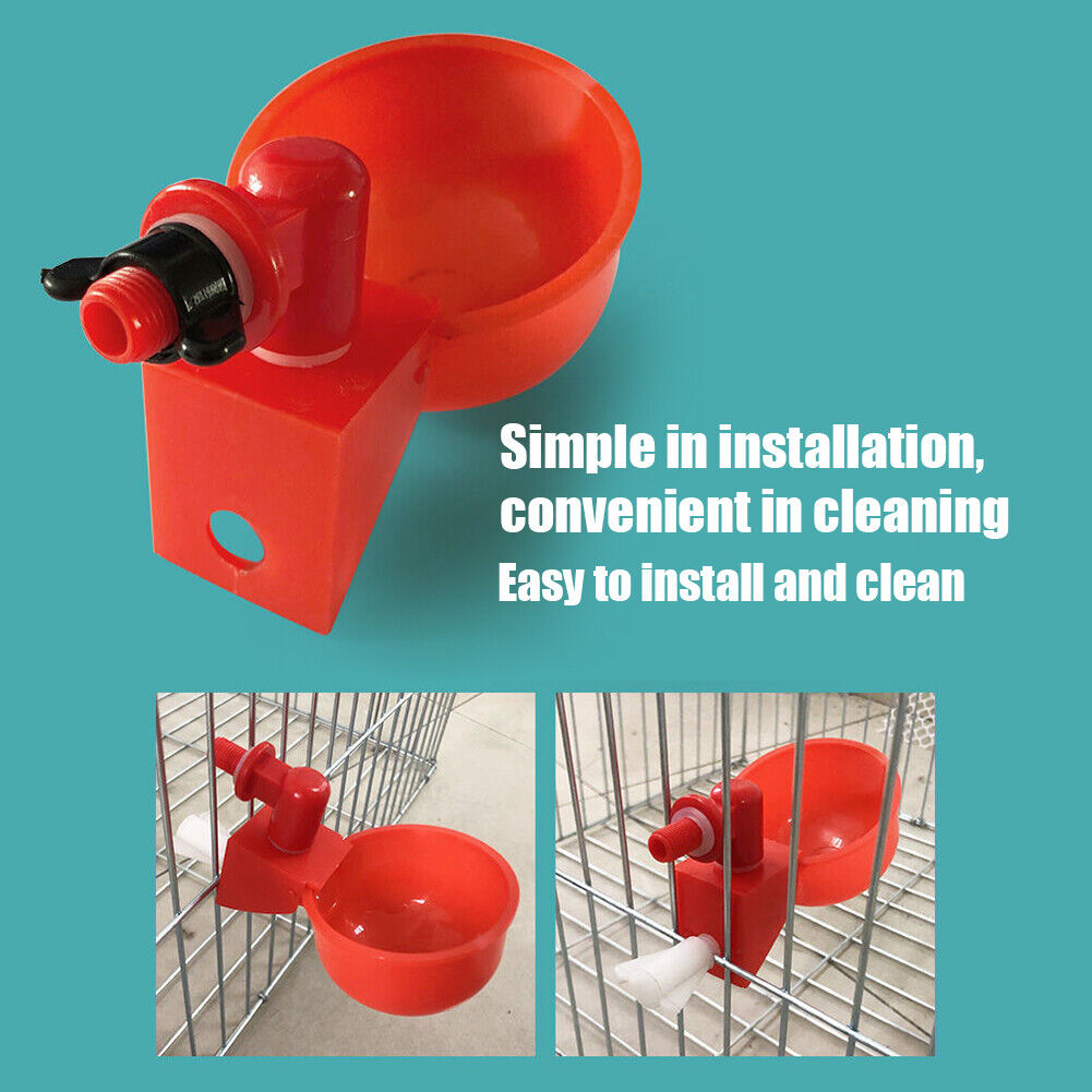 🔥Limited Time Sale 48% OFF🎉Automatic Poultry Water Bowl 3Pcs/set--buy 5 get 5 free & free shipping（30pcs）