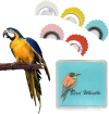 🔥Summer Hot Sale 49% OFF🎀-🐦 5-Piece Wacky Bird Whistle Set （BUY 2 FREE SHIPPING)