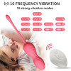 SHEMESIX Women's Wireless Remote Control Vibrating Egg Masturbation Silicone Sex Toys