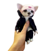 Chihuahua realistic Toy