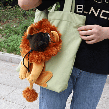 ⚡⚡Last Day Promotion 48% OFF - Pet Outing Bag 🔥BUY 2 FREE SHIPPING