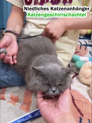 🔥Letzter Tag 50% RABATT-Hundehaarsammler Schlüsselanhänger Charm Gedenk-Aufbewahrungsbox