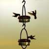 Limited Time Offer - Handcrafted Circular Hanging Hummingbird Feeder