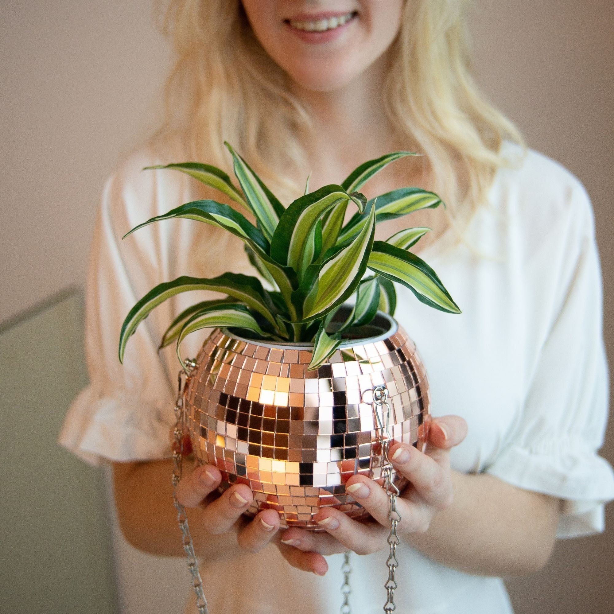 🎁TikTok Last Day Sale - 70% OFF🔥Disco Ball Planter