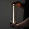 LightRay™ Illuminator