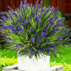 🔥Last Day Promotion 50% OFF🔥Lavender Artificial Flowers