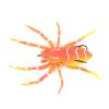 Christmas Early Sale - Save 50% OFF Spider Soft Lure Fishing bait-Buy 3 get 3 free