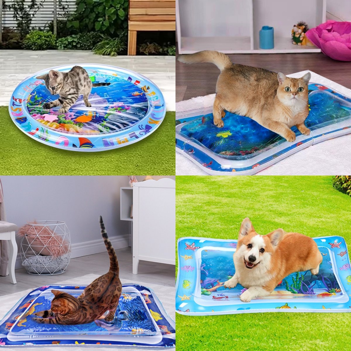 🔥Summer Hot Sale-50% Off😻Pet Water Sensory Mat