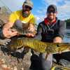 🎁TikTok Last Day Sale - 70% OFF🎣2025 Xmas Holiday Fishing Advent Calendar