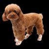 (🌲Early Christmas Sale- 49% OFF) 2024 Best Self-Adhesive Pet Bandage Shoes🐾