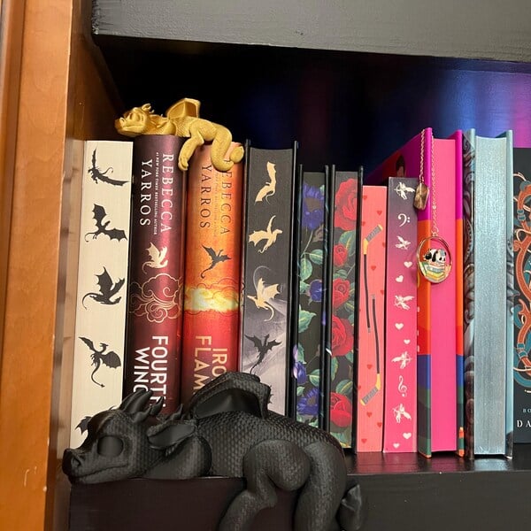 🔥🔥2025 Mother's Day Gift 49% Off--📚3D Printing Sleeping Bookshelf Dragon