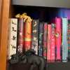 🔥🔥2025 Mother's Day Gift 49% Off--📚3D Printing Sleeping Bookshelf Dragon