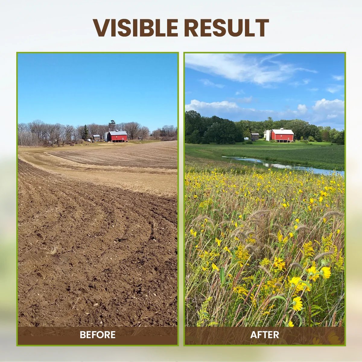 🔥Seasonal promotion🔥Soil Pro Activator