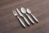 Cambridge Silversmiths, Blue, Jubilee Flatware, Service for 4, 16 Piece Set, Dorm Room Essentials, First Apartment