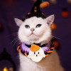 Whimsical Pumpkin & Purple Elegance Halloween Pet Hat