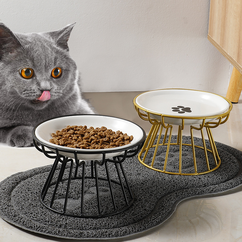 🥣Whisker-Friendly Anti-Vomit Cat Plate🏆2022 Cat Creative Award