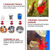 🔥Last Day Promotion 50% OFF💗Automatic Chicken Water Cup Bird Coop