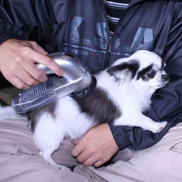 ( Last Day Promotion - 50% OFF) Best handheld vacuum for pet hair