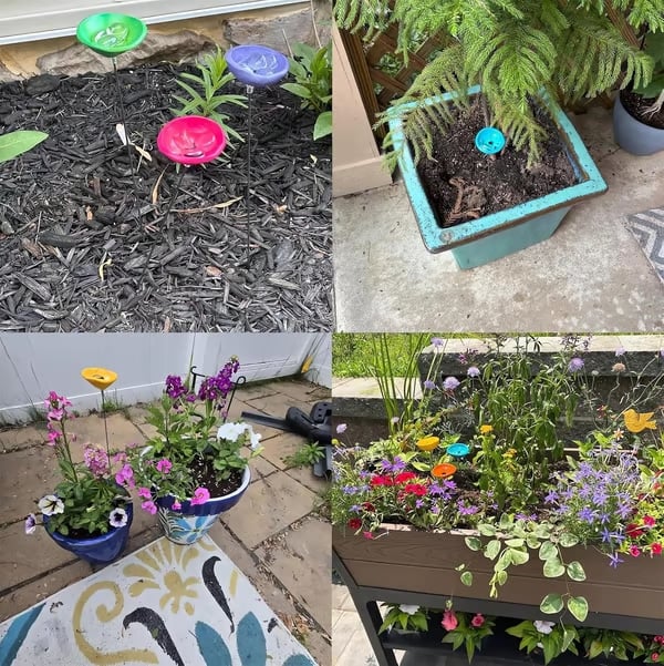 🎁TikTok Last Day Sale - 70% OFF🐝Bee Watering Station,🦋Butterfly Puddler,Hummingbird Drinking Cups