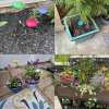 🎁TikTok Last Day Sale - 70% OFF🐝Bee Watering Station,🦋Butterfly Puddler,Hummingbird Drinking Cups