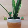 🔥Last Day: 50% Off! 🔥 Korok Pot Buddy