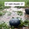 💦Rain Drum for Outside Garden with The Fingerstalls