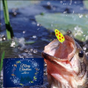 (🎄Christmas Hot Sale - 49% OFF) 🎅24Pcs Fishing Lures Christmas Advent Calendar