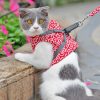 Hot Sale 48% OFF-Cat Vest Harness + Leash Set(🔥🔥BUY 2 GET EXTRA 10%OFF&FREE SHIPPING)