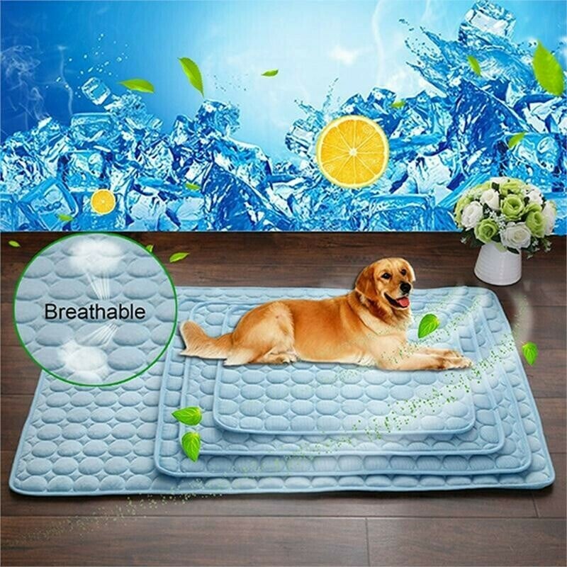 🌞SUMMER SALE -50% OFF ！🐶 PET COOLING MAT（BUY 2 GET FREE SHIPPING）