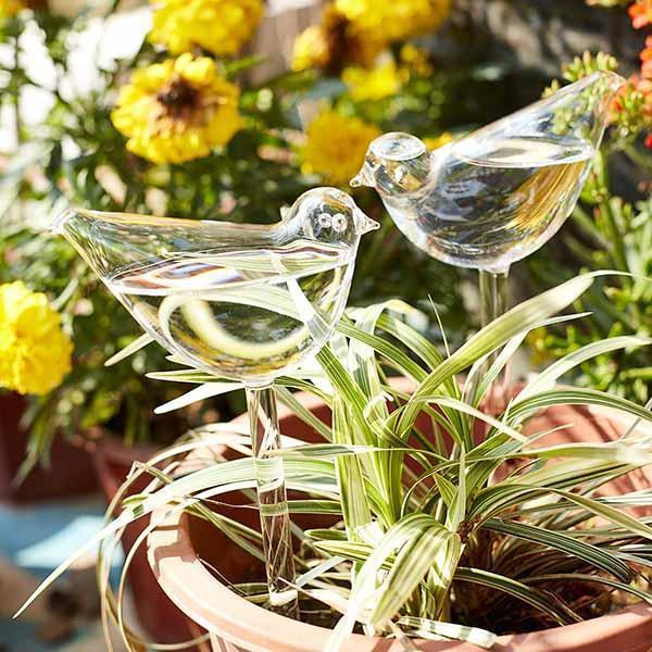 (Mother's Day Sale- 48% OFF)Self-Watering Plant Glass Bulbs - Buy 4 Get Extra 10% OFF & Free Shipping