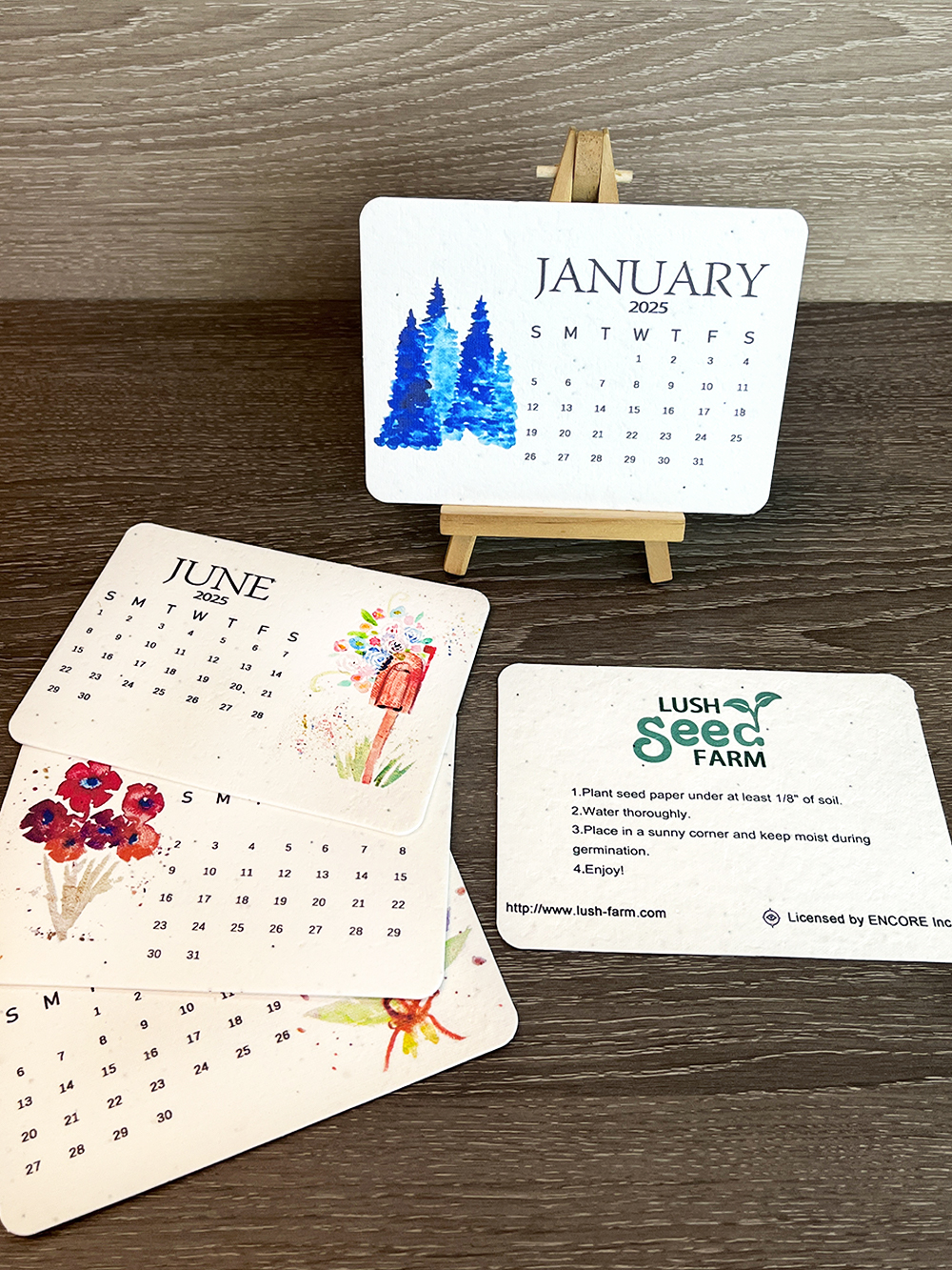 ✨New Year 49% OFF🌱Eco-Friendly Plantable Love Seed Calendar 2025