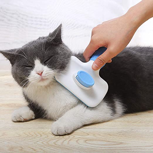 Cat Brush with Massage Particles