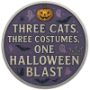 🏆Flash Sale 60% OFF - 👻🐱