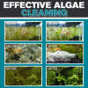 (🐟SUMMER HOT SALE - 50% OFF🐟) Multipurpose Fish Tank Algae Cleaner-Buy 4 Get Extra 20% OFF & Free Shipping