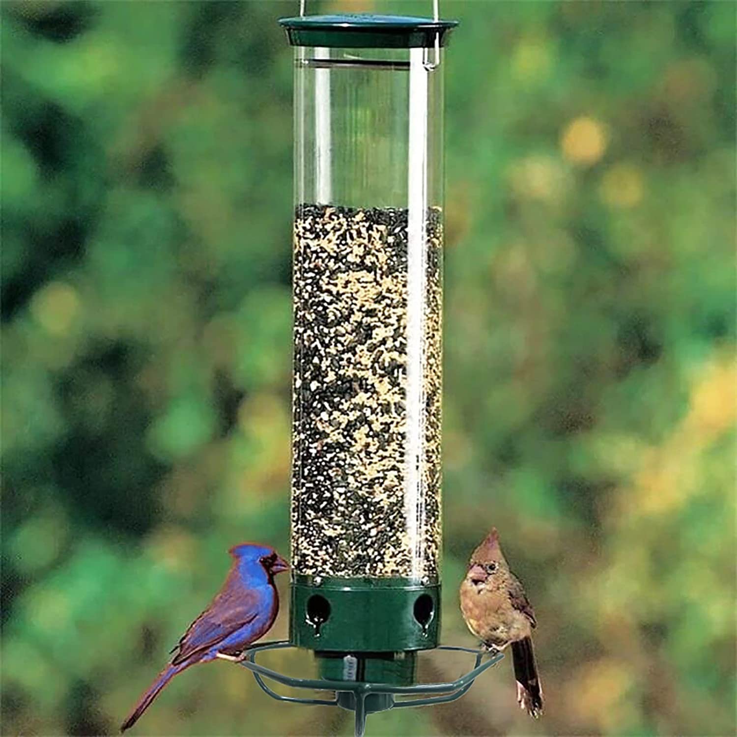 (🔥Promoción Del Último Día 49%OFF🔥)Comedero Para Pájaros A Prueba De Ardillas(Compra 2 Envío Gratis)