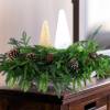 🔥CHRISTMAS SALE 50% OFF💥Natural Christmas Greenery-Norfolk Pine Branch