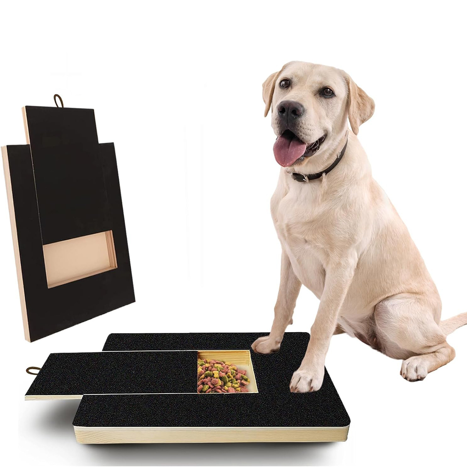🐾Dog Nail Care Board