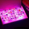 🔥Letzter Tag 50% RABATT - Halloween 50 Stück LED-Leuchtringe