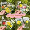 🔥Last Day 70% OFF🔥Transparent Dried Flower Bookmarks(20pcs/set)