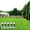 🌸2023 HOT SALE🌱GREEN GRASS & PEST CONTROL LAWN SPRAY