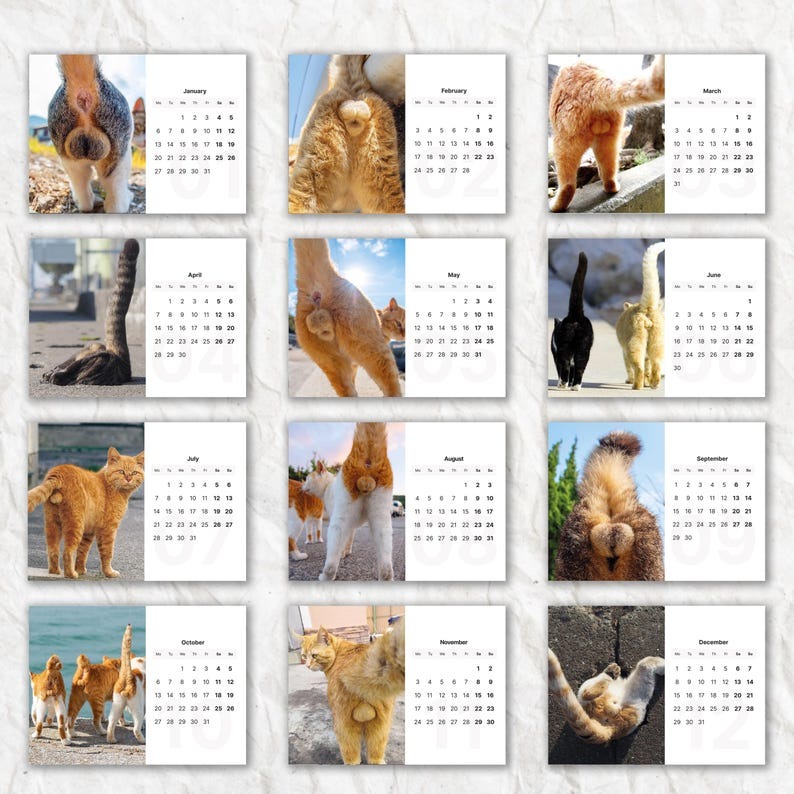 Cats Bells 2025 Calendar