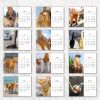 Cats Bells 2025 Calendar