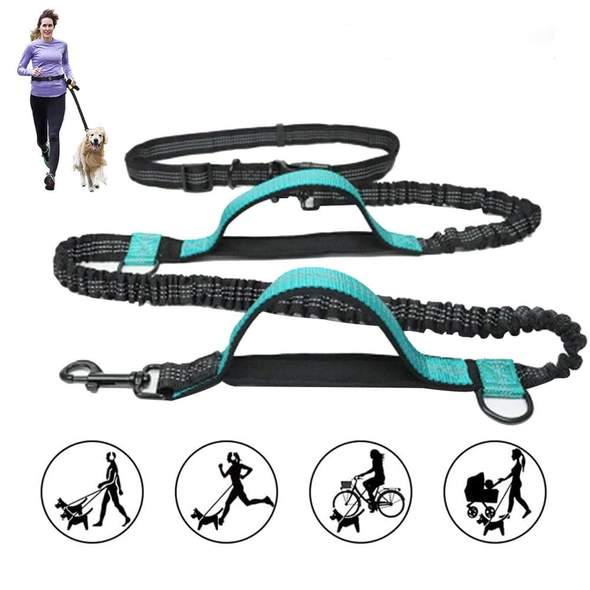 🔥Last Day Promotion 70% OFF-Retractable Hands Free Dog Leash(🔥Buy 4 Get Extra 20% OFF & Free Shipping)